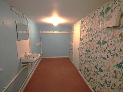 Picture 14